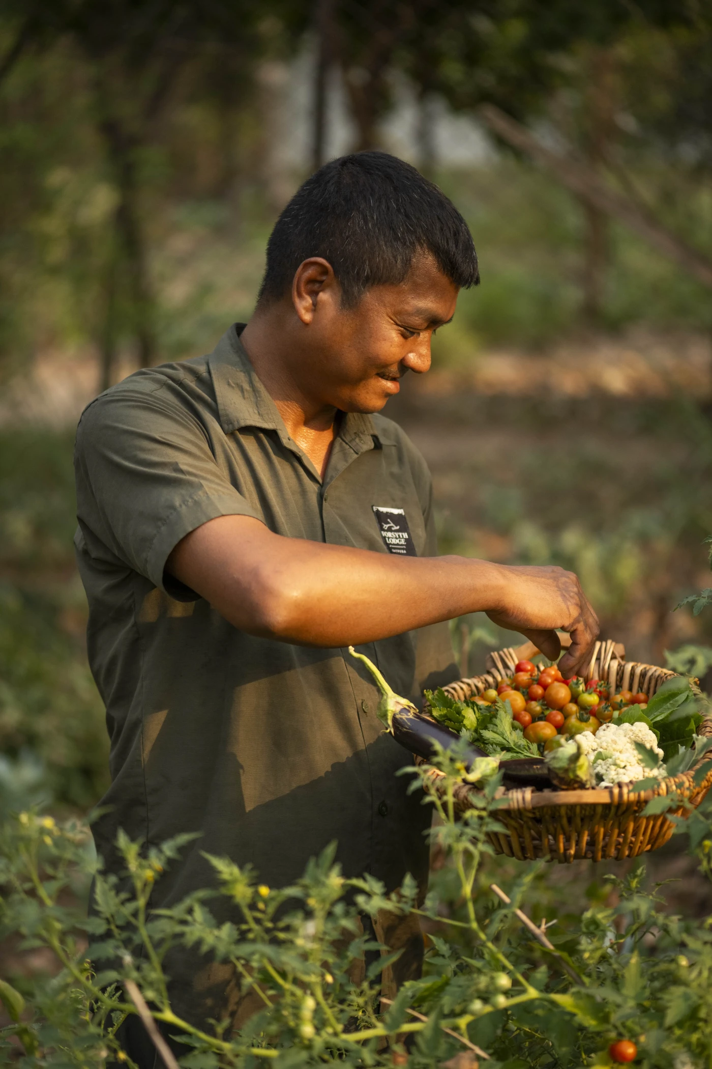 Forsyth Lodge chef selecting fresh produce from the garden