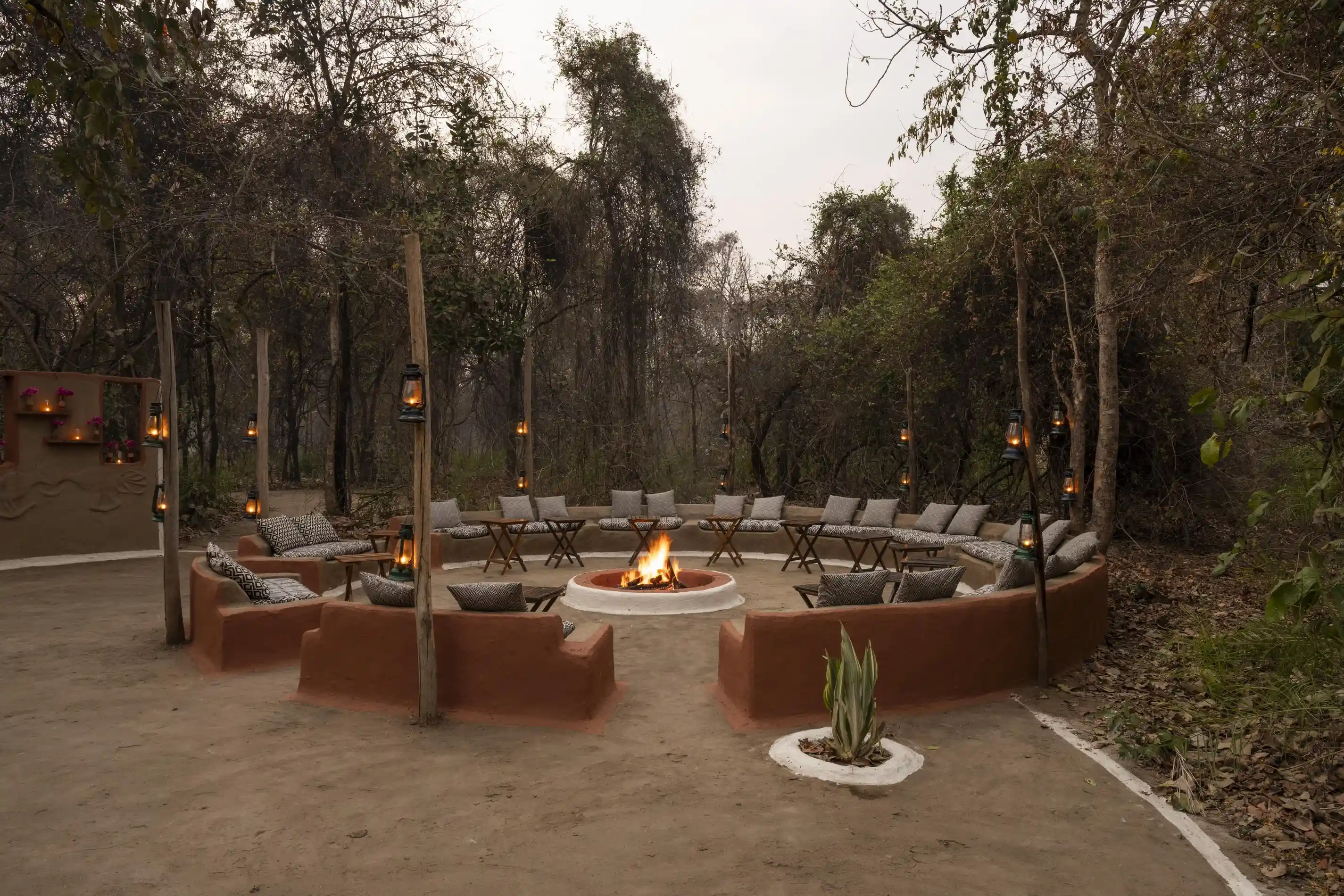 Forest dining arranged around a central fire