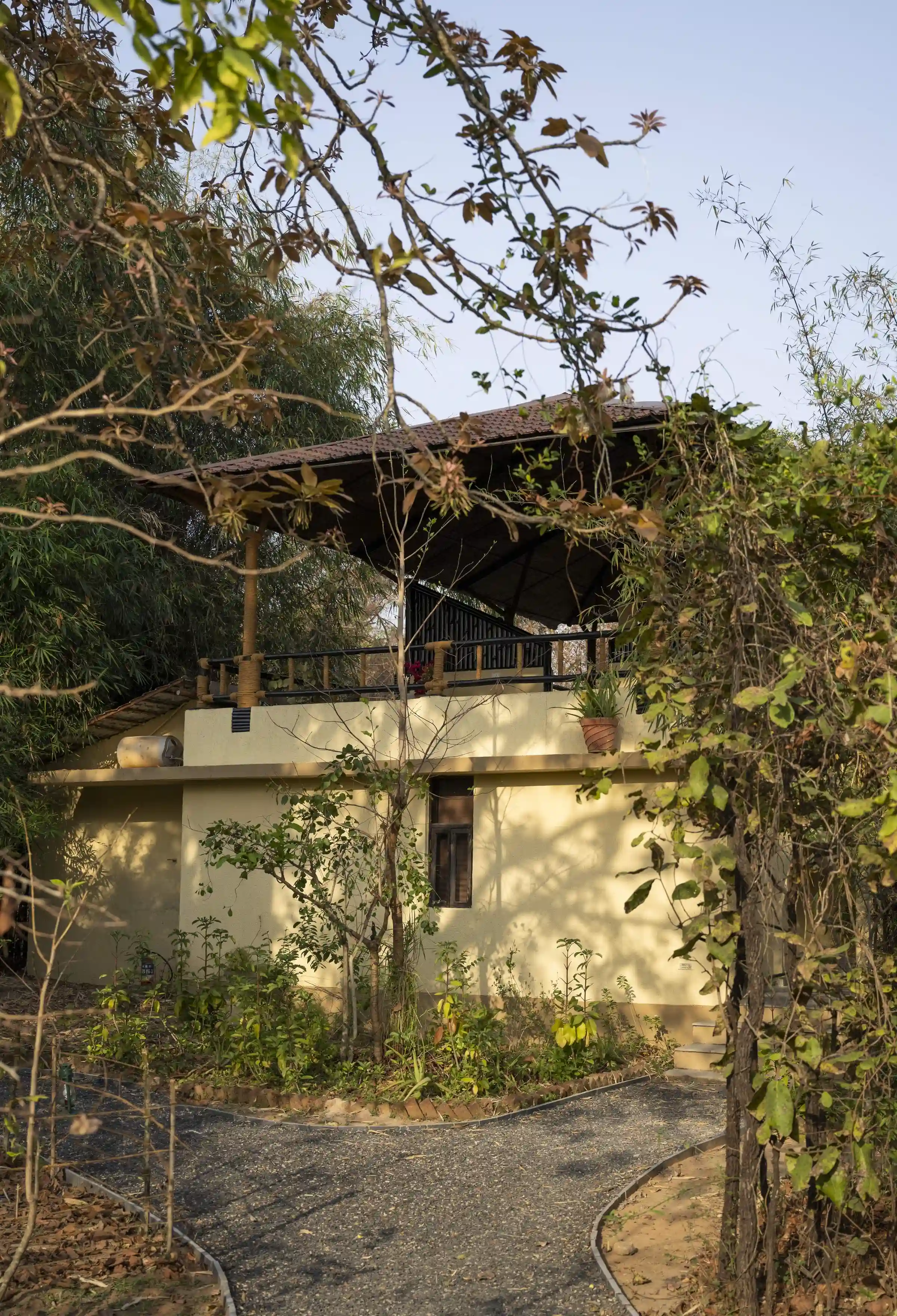 Machan cottage seating with forest view