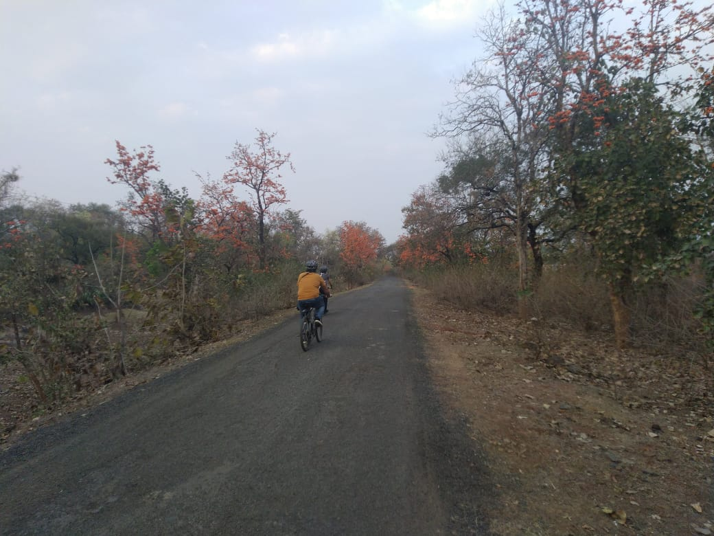 Cycling in the buffer zone