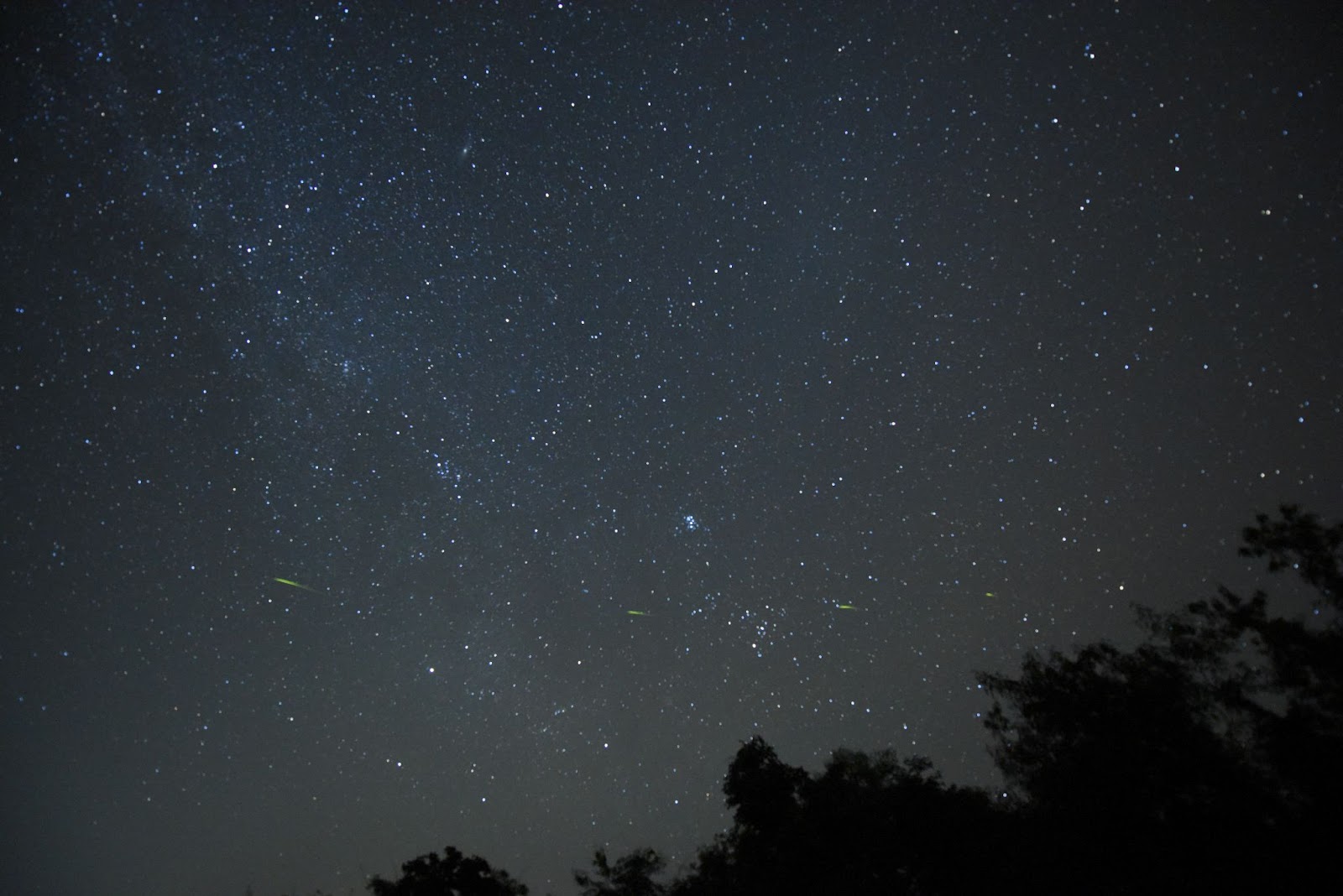 Night Sky in Satpura Tiger Reserve