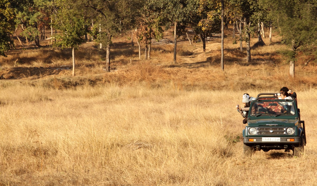 Satpura Landscape on a Jeep Safari
