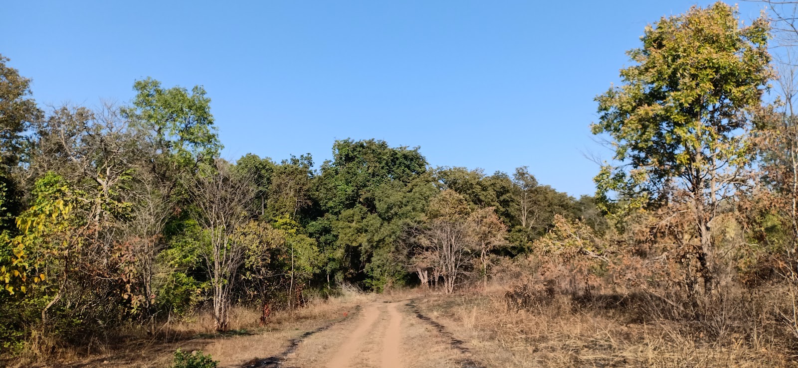 Spring Weather Image In Satpura