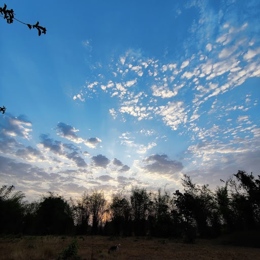 clouds in satpura tiger reserve