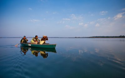 Jungle Safari Adventure Sports: Canoeing, Trekking, And More