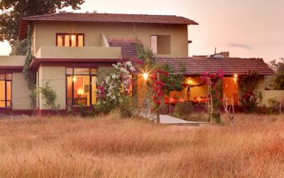 Jungle Resorts Near Indore: An Unforgettable Vacation Experience