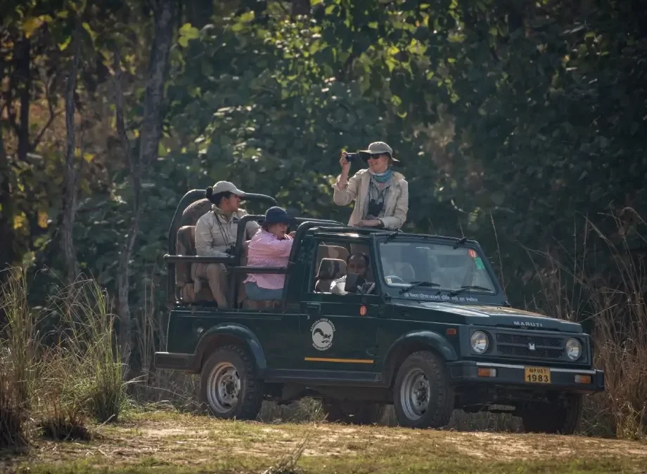 Jungle Safari vs. Game Drive: What’s the Difference and Which One to Choose?