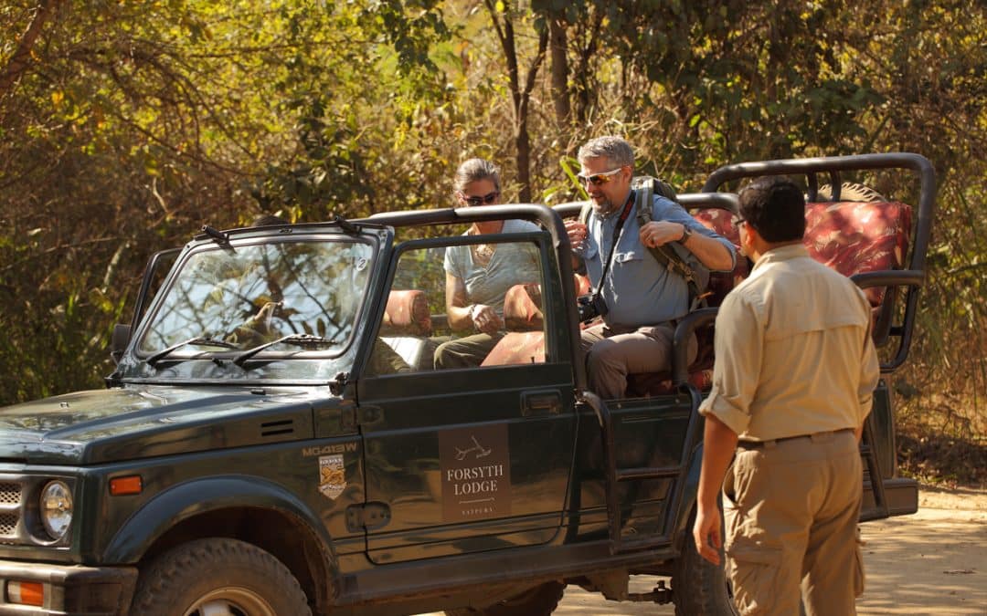A Beginner’s Guide to Jungle Safari Etiquette