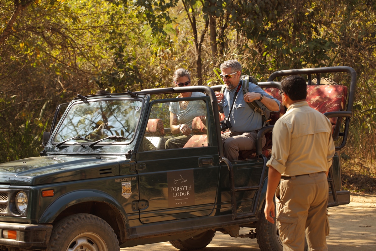 Beginner's Guide to Jungle Safari